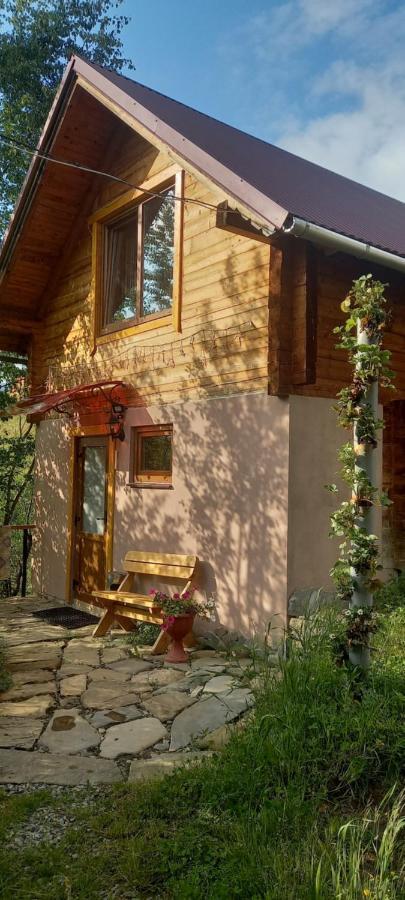 Марічка Marichka Villa Vorokhta Luaran gambar